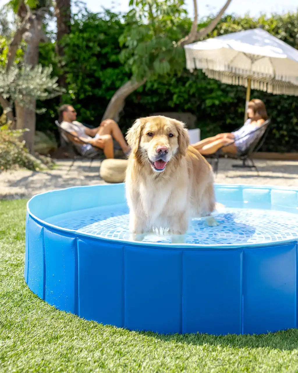 Portable Foldable Pet Swimming Pool - 60" x 12"